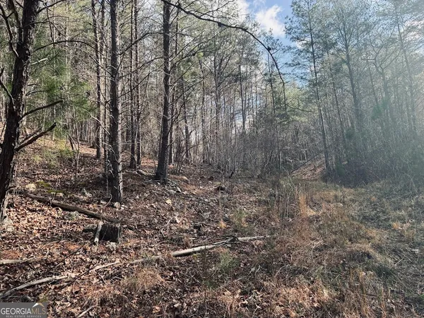 $499,900 | 0 County Road 709, Valley Head, AL 35989