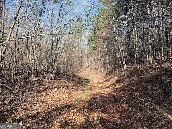 $499,900 | 0 County Road 709, Valley Head, AL 35989