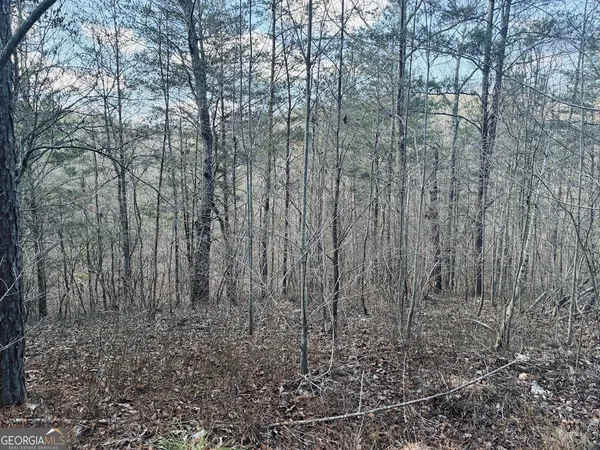 $499,900 | 0 County Road 709, Valley Head, AL 35989