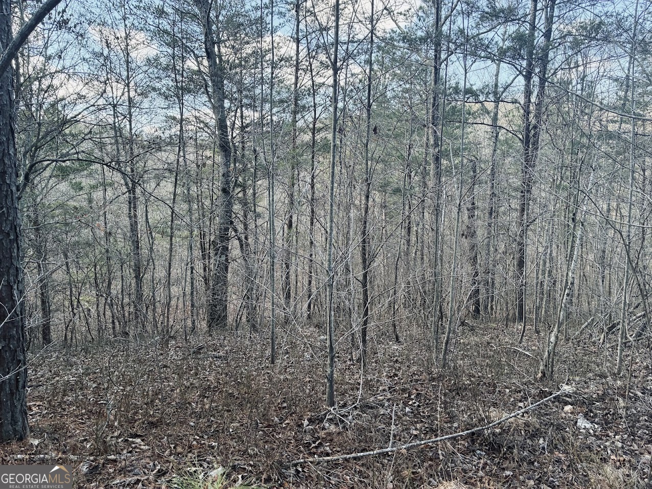 0 County Road 709 Valley Head, AL 35989 - Photo 17 of 36
