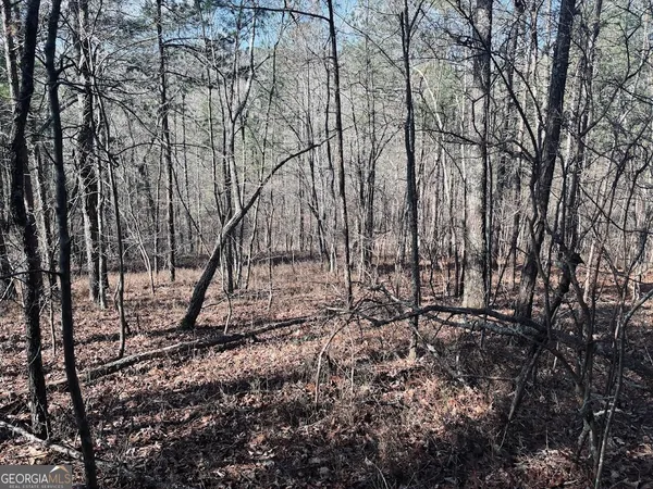 $499,900 | 0 County Road 709, Valley Head, AL 35989