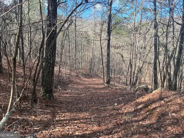 $499,900 | 0 County Road 709, Valley Head, AL 35989