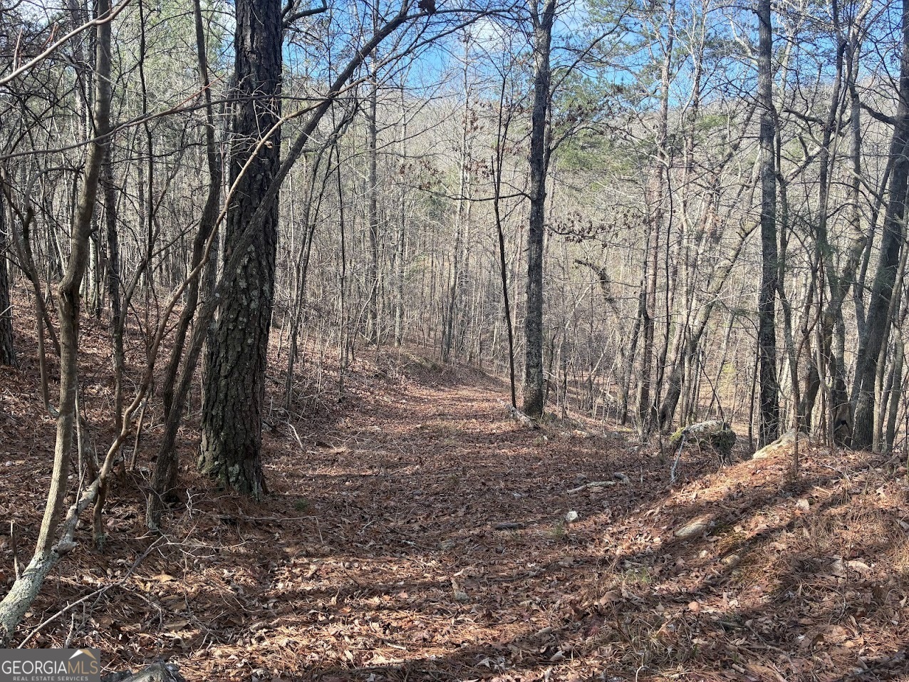 0 County Road 709 Valley Head, AL 35989 - Photo 20 of 36