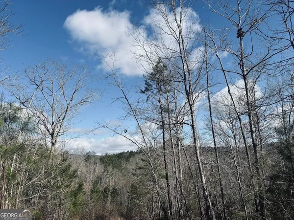 $499,900 | 0 County Road 709, Valley Head, AL 35989