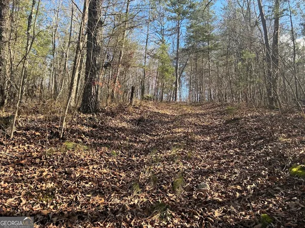 $499,900 | 0 County Road 709, Valley Head, AL 35989