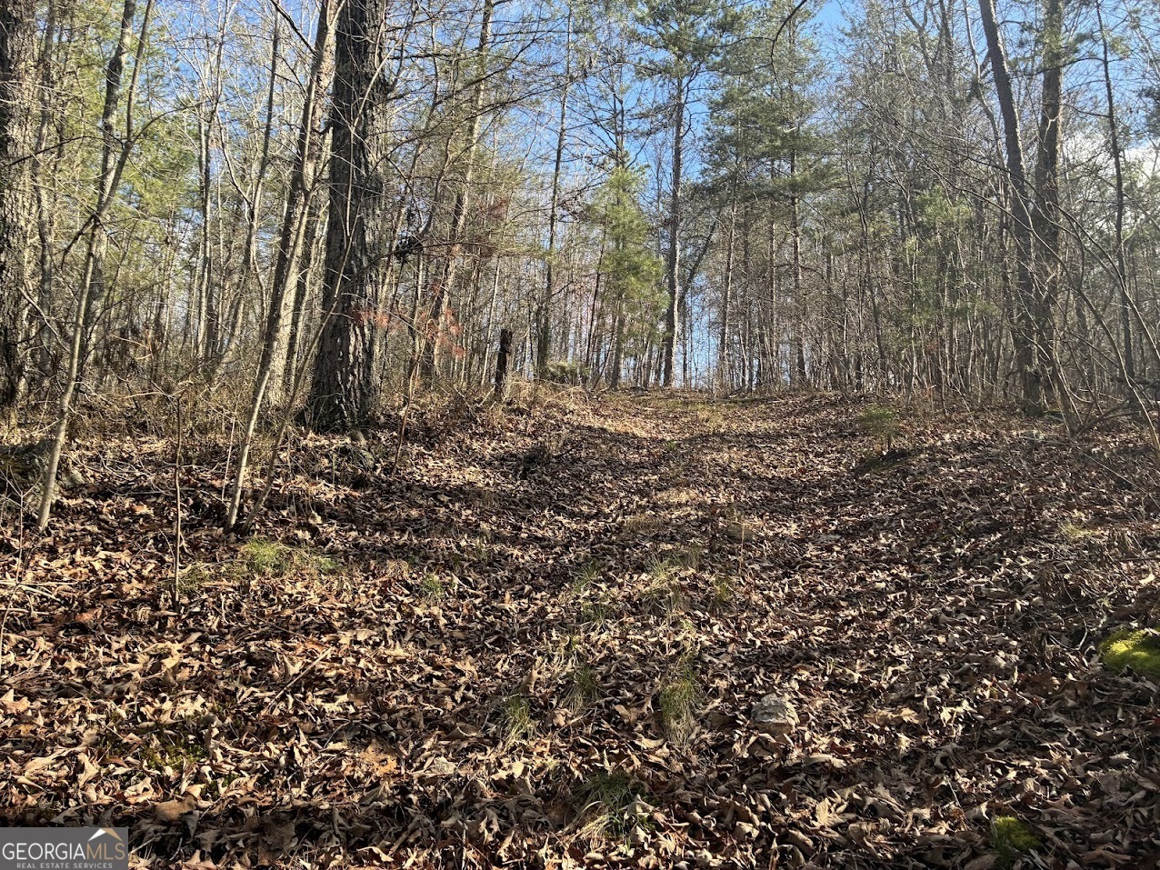 0 County Road 709 Valley Head, AL 35989 - Photo 21 of 38