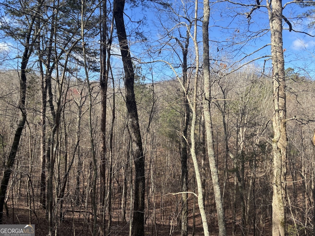 0 County Road 709 Valley Head, AL 35989 - Photo 22 of 38