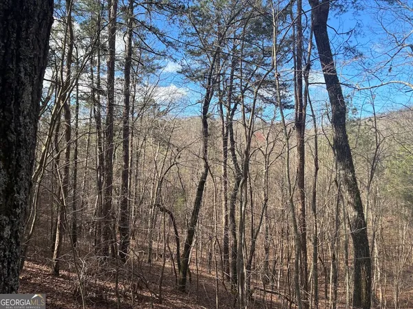 $499,900 | 0 County Road 709, Valley Head, AL 35989