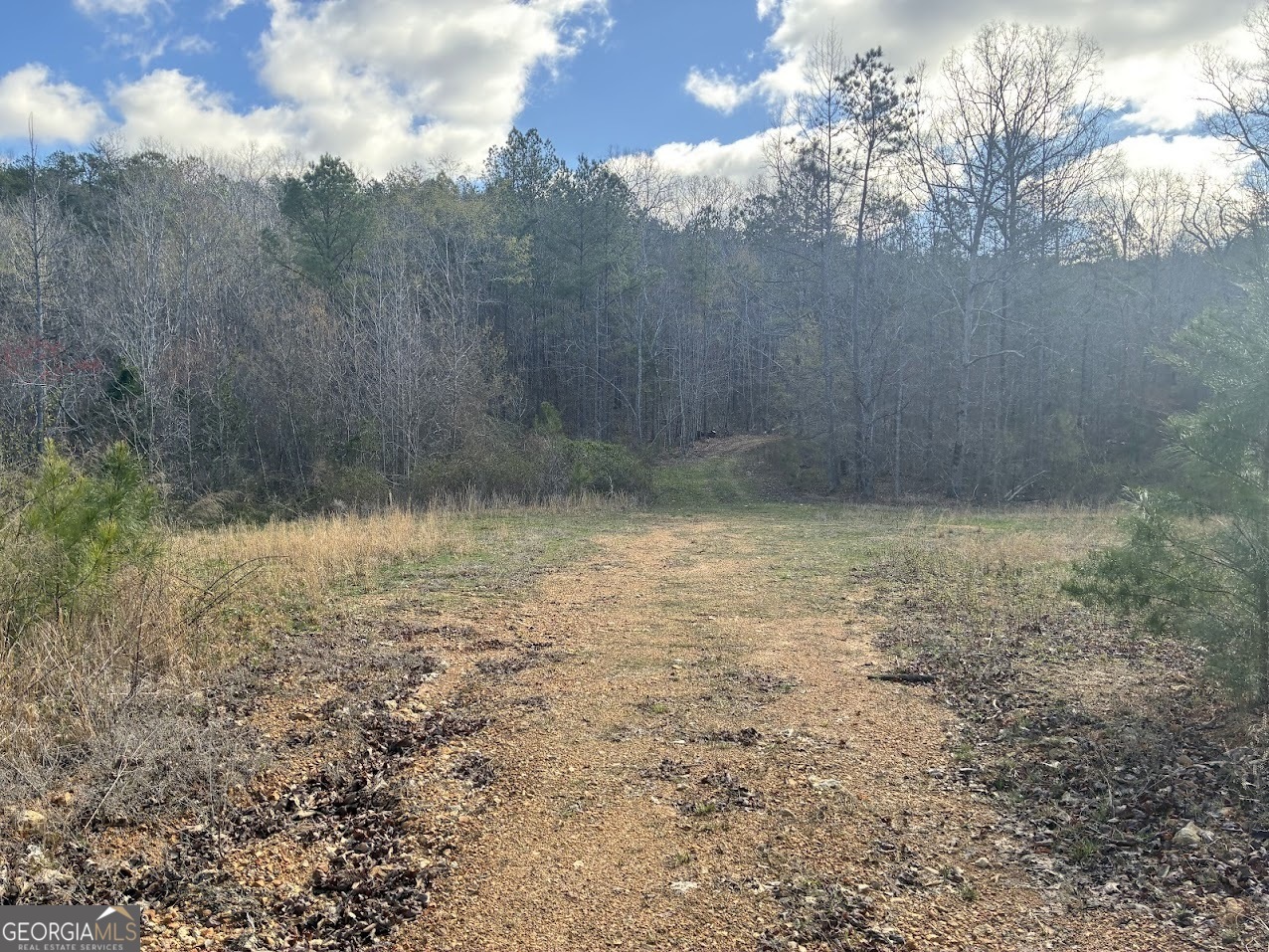 0 County Road 709 Valley Head, AL 35989 - Photo 24 of 36