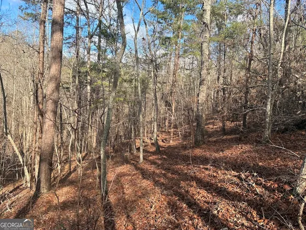 $499,900 | 0 County Road 709, Valley Head, AL 35989