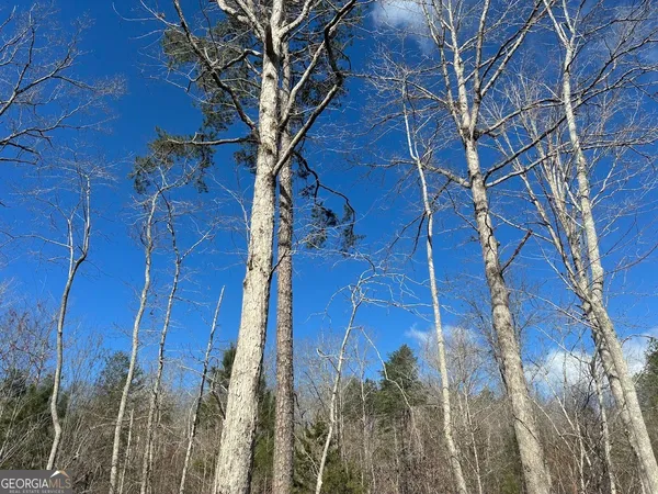 $499,900 | 0 County Road 709, Valley Head, AL 35989