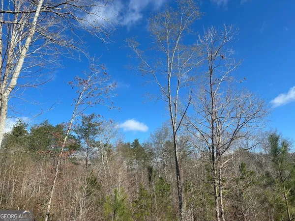 $499,900 | 0 County Road 709, Valley Head, AL 35989