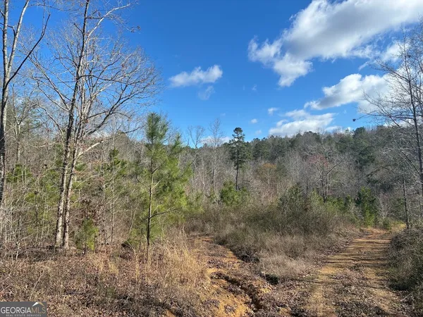 $499,900 | 0 County Road 709, Valley Head, AL 35989