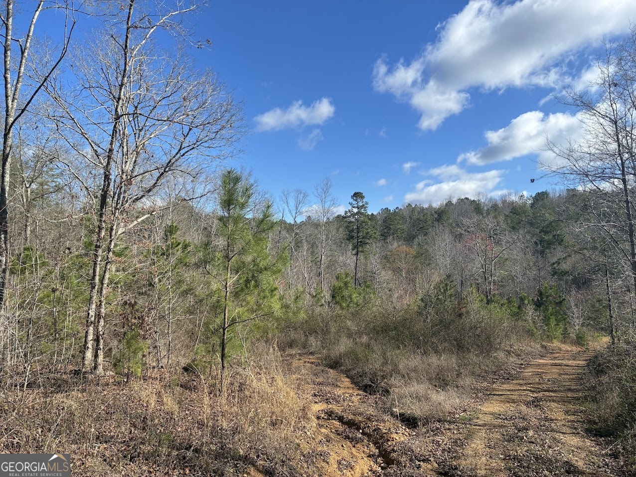 0 County Road 709 Valley Head, AL 35989 - Photo 29 of 38