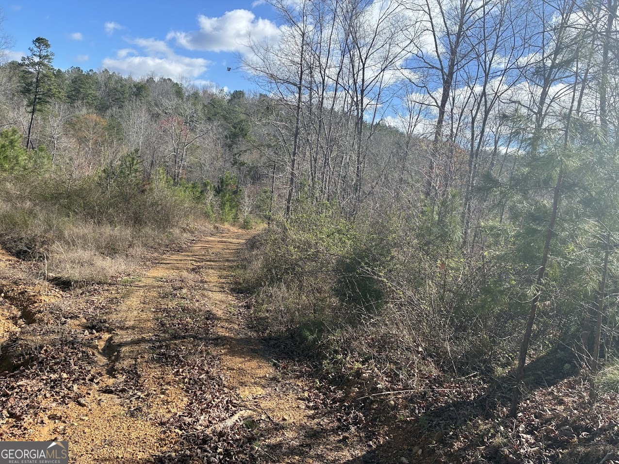 0 County Road 709 Valley Head, AL 35989 - Photo 30 of 38