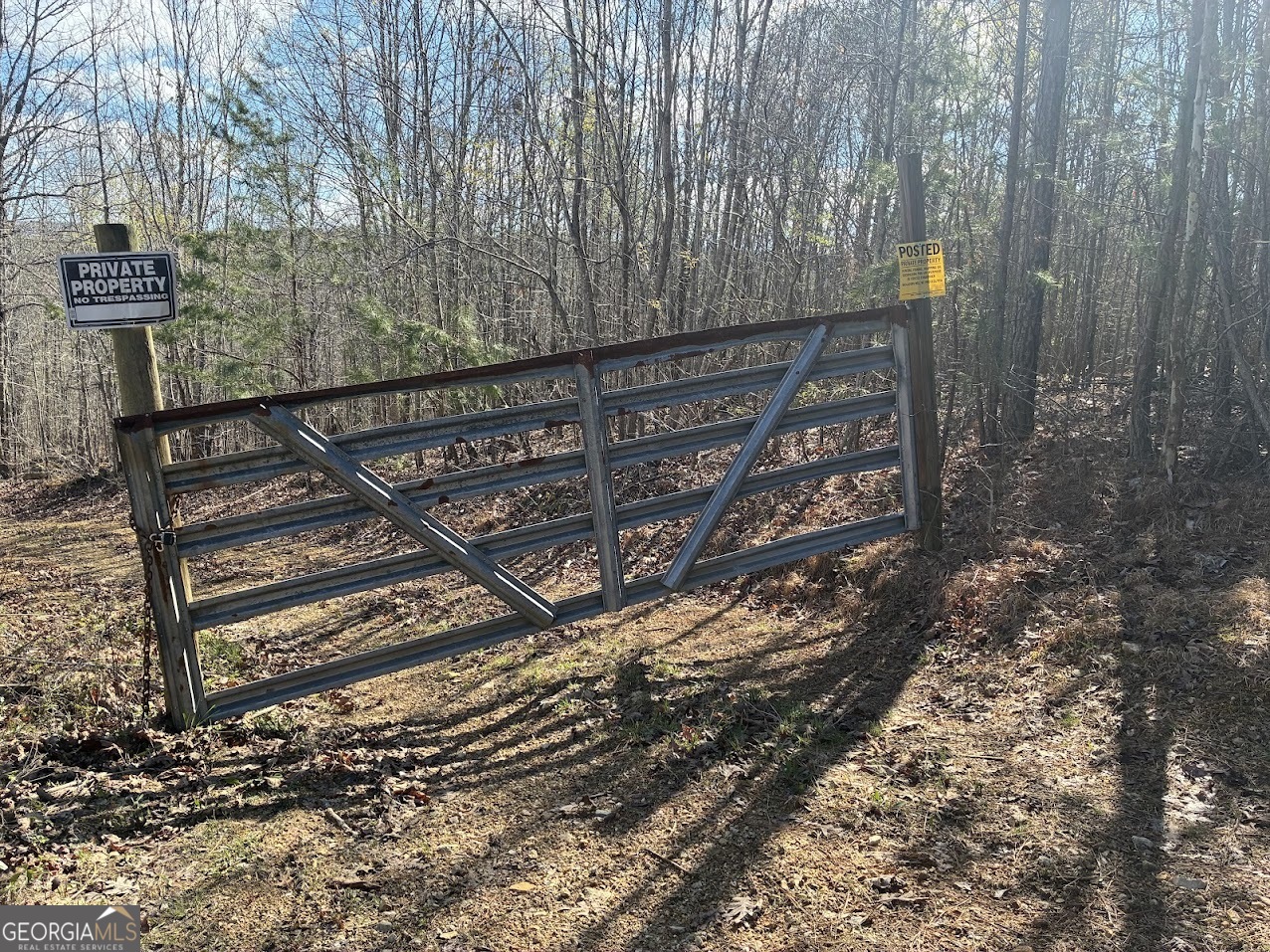 0 County Road 709 Valley Head, AL 35989 - Photo 32 of 36