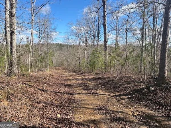 $499,900 | 0 County Road 709, Valley Head, AL 35989