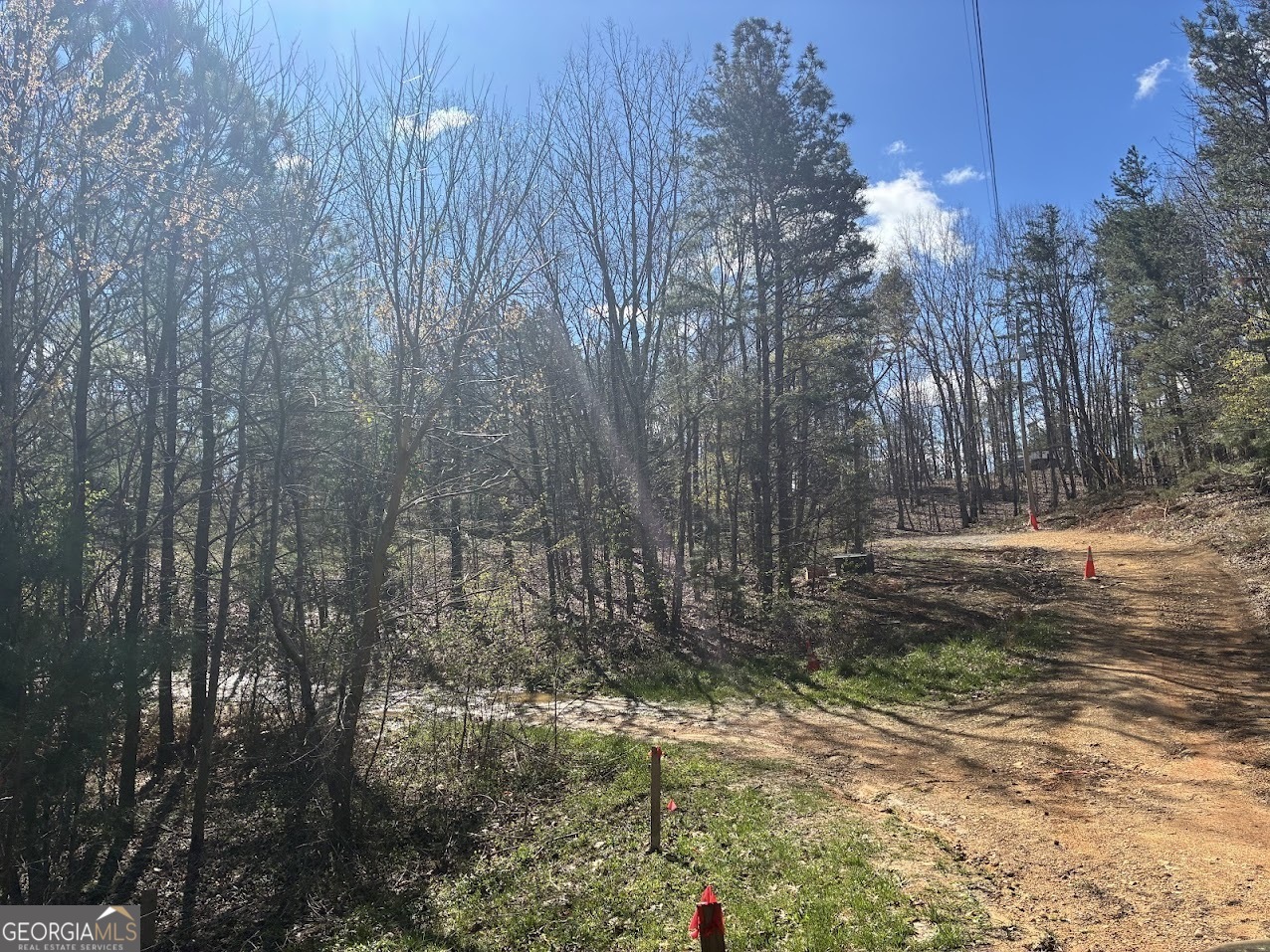 0 County Road 709 Valley Head, AL 35989 - Photo 33 of 36