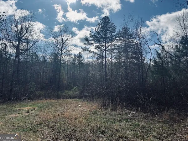 $499,900 | 0 County Road 709, Valley Head, AL 35989