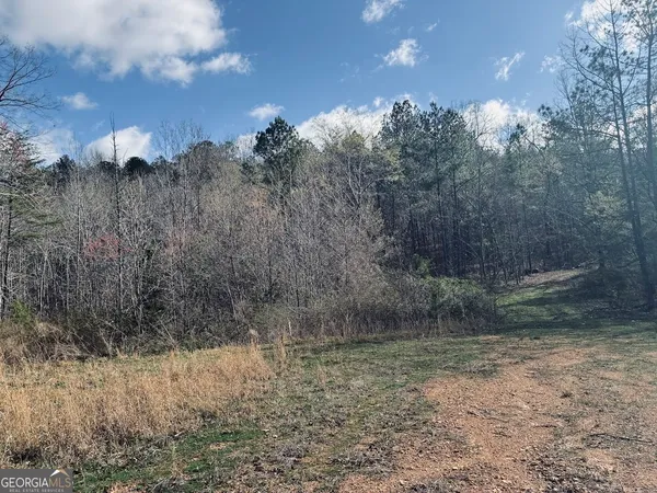 $499,900 | 0 County Road 709, Valley Head, AL 35989