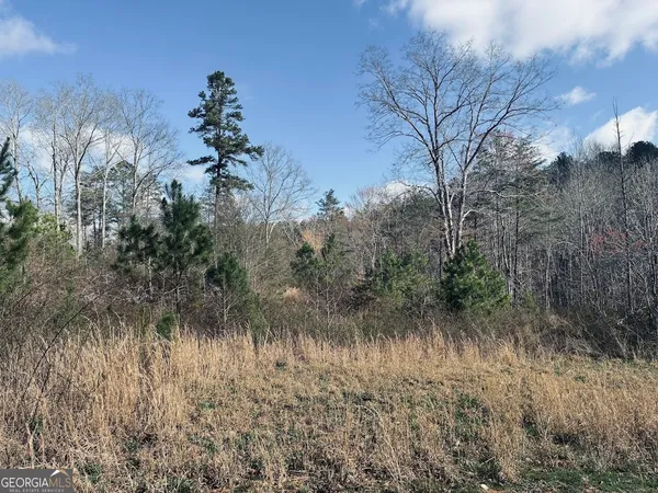 $499,900 | 0 County Road 709, Valley Head, AL 35989