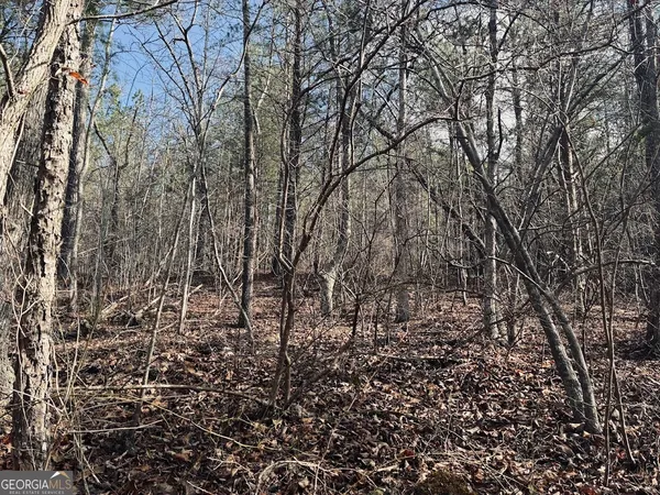 $499,900 | 0 County Road 709, Valley Head, AL 35989