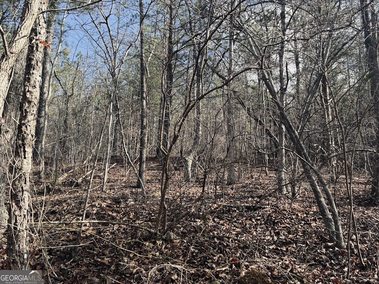 0 County Road 709 Valley Head, AL 35989 - Photo 7 of 36