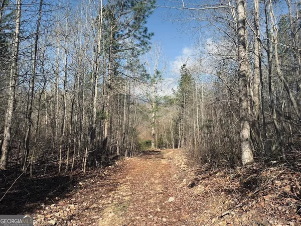 $499,900 | 0 County Road 709, Valley Head, AL 35989