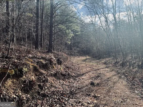 $499,900 | 0 County Road 709, Valley Head, AL 35989