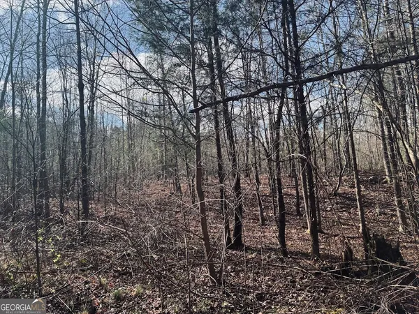 $499,900 | 0 County Road 709, Valley Head, AL 35989