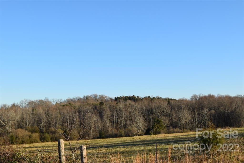 0 Prince Road Rutherfordton, NC 28139 - Photo 2 of 3