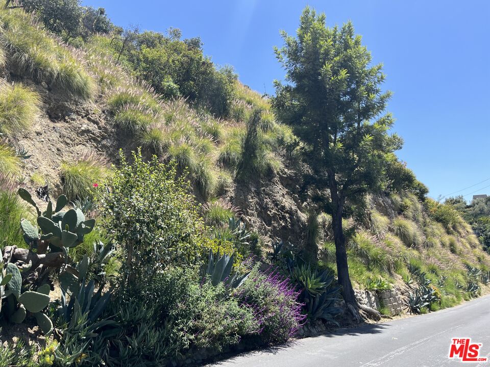 6053 Rodgerton Drive Los Angeles, CA 90068 - Photo 10 of 16 a view of a yard with plants and a bench
