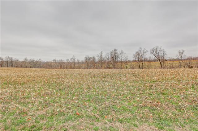 906 Swindle Road Lafayette, TN 37083 - Photo 20 of 21 Just imagine what wildlife you could see!