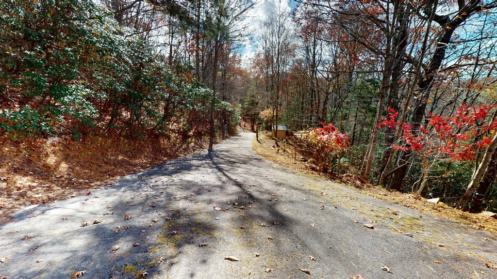 324 Azalea Ridge Topton, NC 28781 - Photo 36 of 42