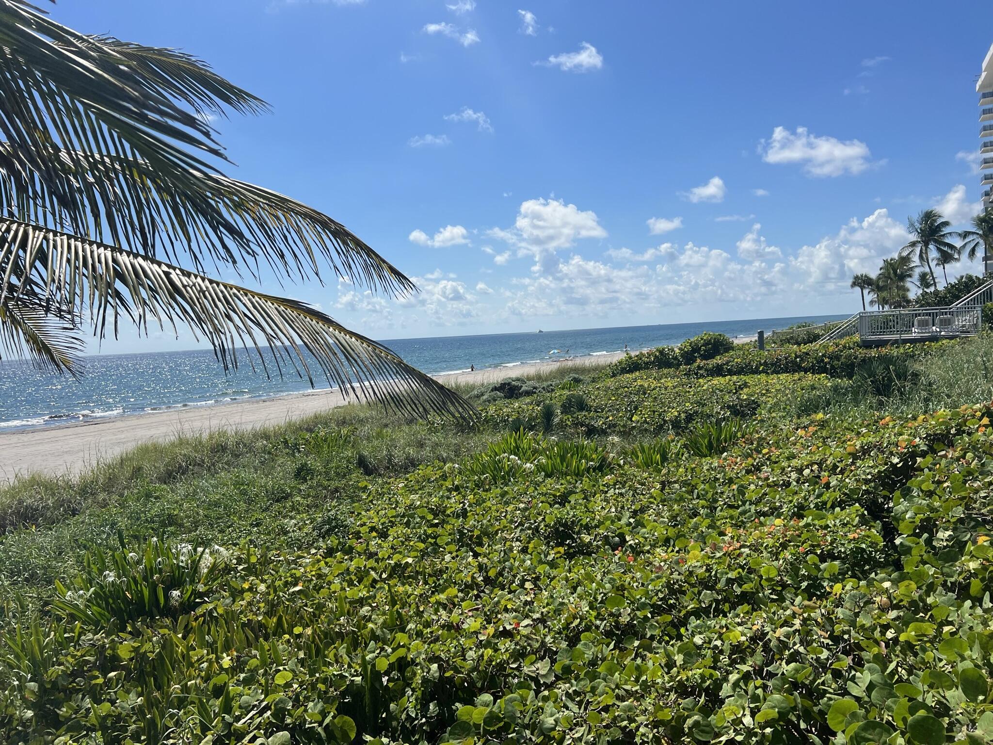 2121 North Ocean Boulevard, Unit 608W Boca Raton, FL 33431 - Photo 45 of 62 The Southeast Beach View