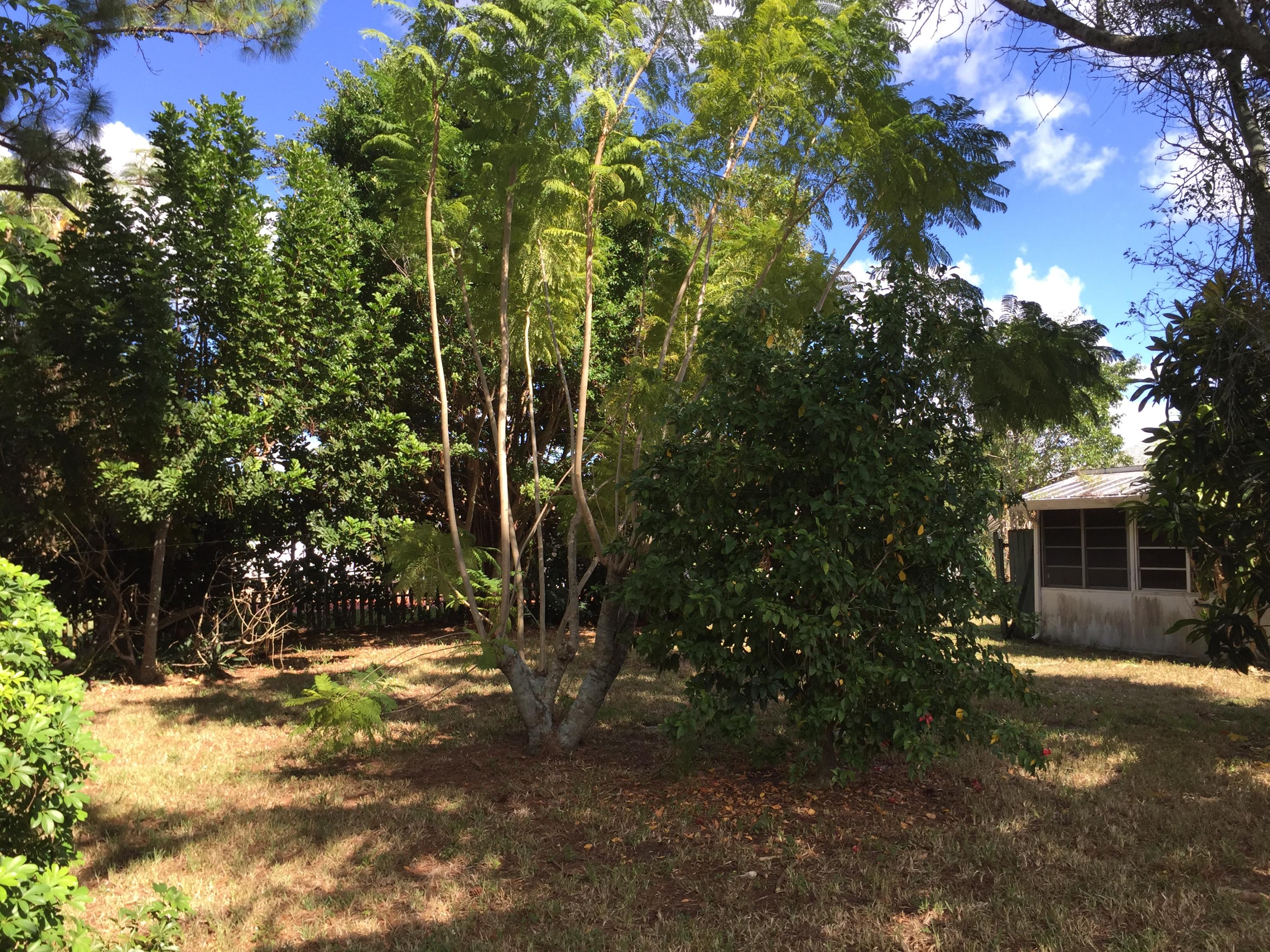 192 Bobwhite Road Royal Palm Beach, FL 33411 - Photo 20 of 35 IMG_3331