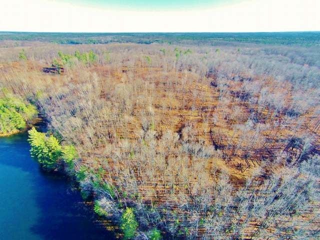 254-acres Kaubashine Road Hazelhurst, WI 54531 - Photo 25 of 78 Gallery Image 25