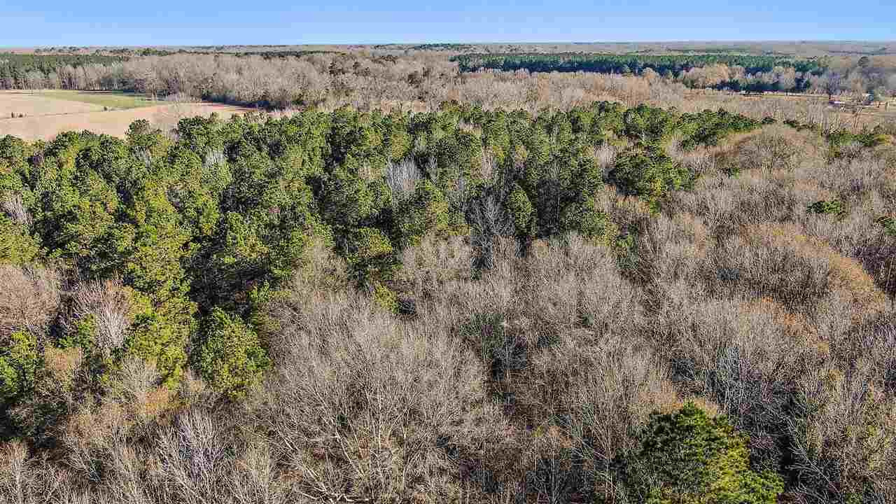 Berry Road, Unit N/A Utica, MS 39175 - Photo 12 of 17 Photo 12
