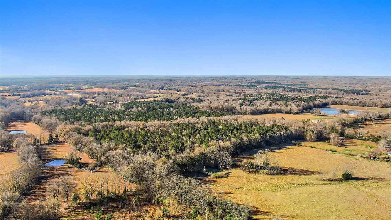 Berry Road, Unit N/A Utica, MS 39175 - Photo 5 of 17 Photo 5