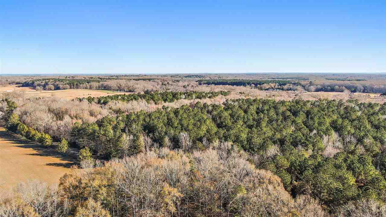 Berry Road, Unit N/A Utica, MS 39175 - Photo 10 of 17 Photo 10