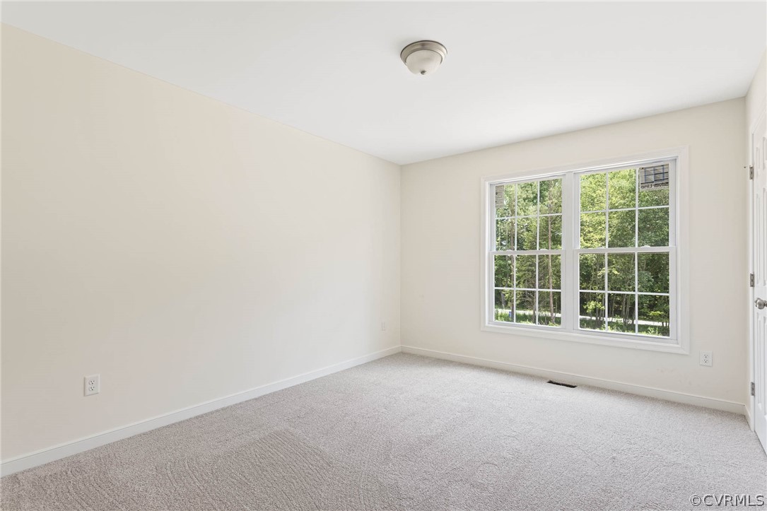 8340 Railroad Bed Road Carson, VA 23830 - Photo 14 of 22