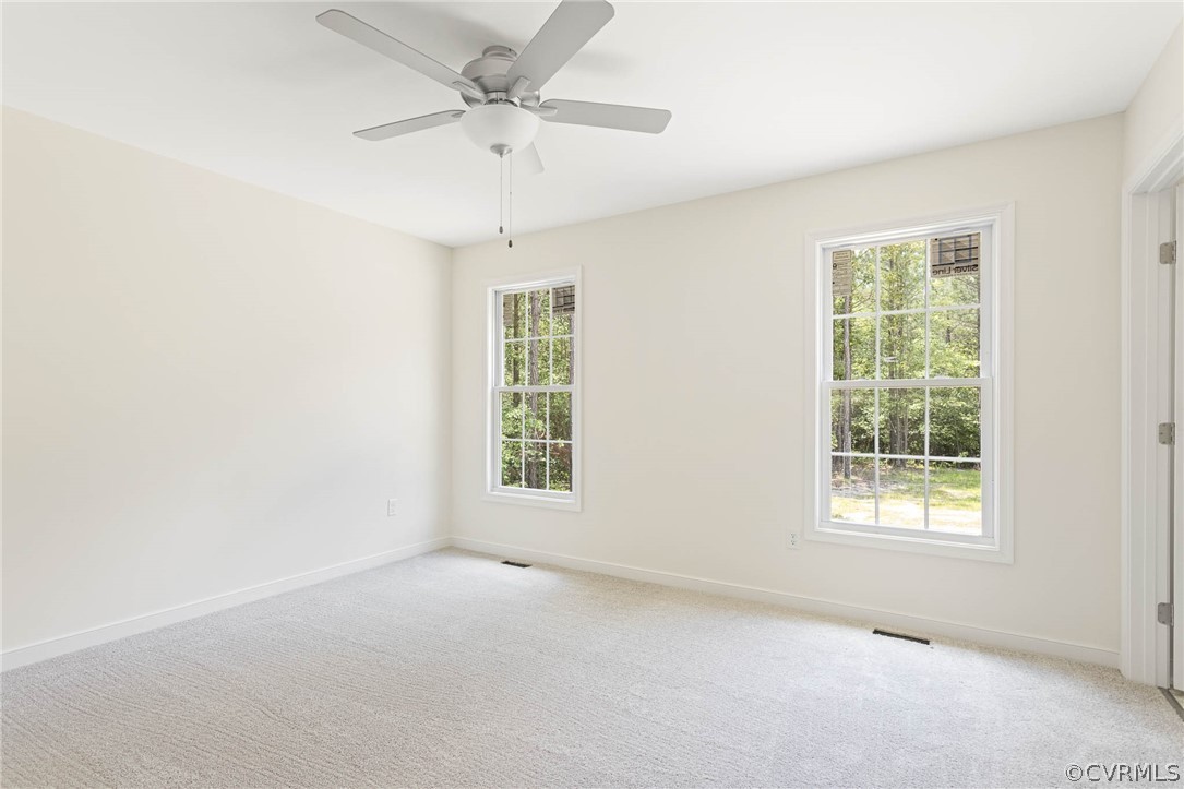 8340 Railroad Bed Road Carson, VA 23830 - Photo 17 of 22