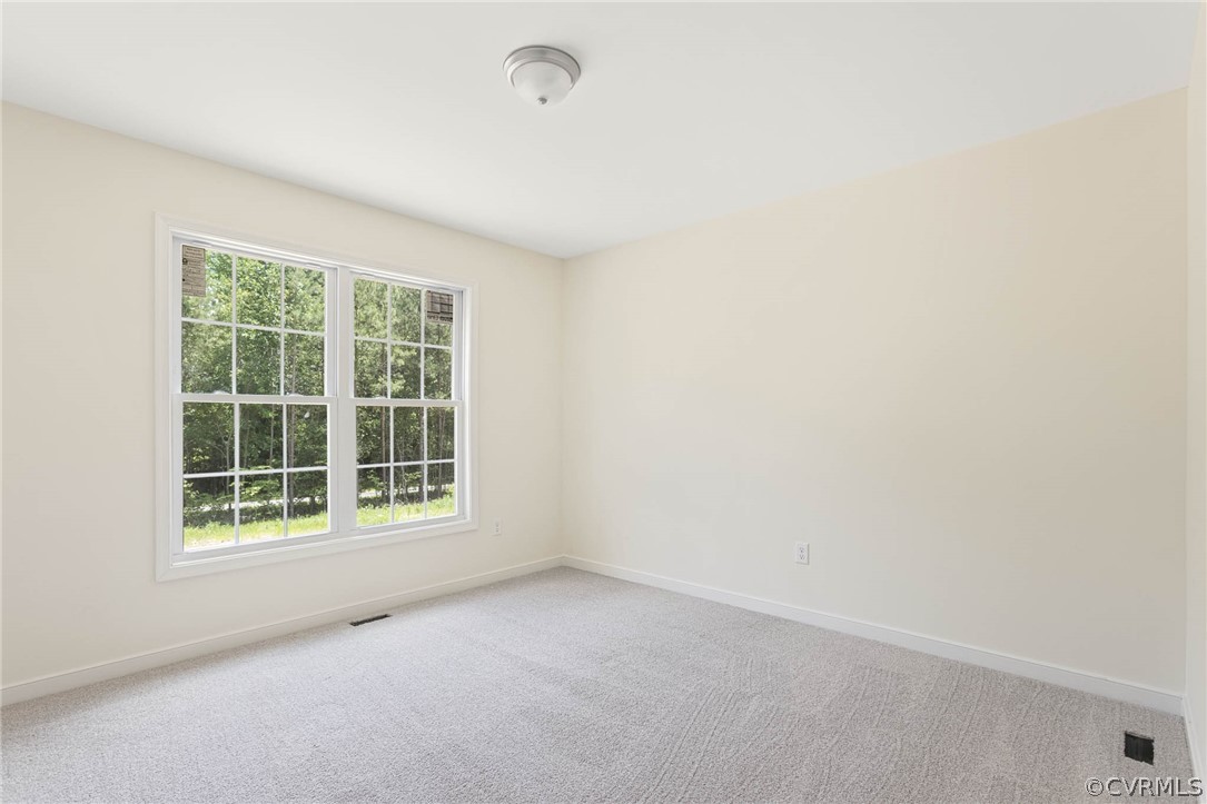 8340 Railroad Bed Road Carson, VA 23830 - Photo 20 of 22