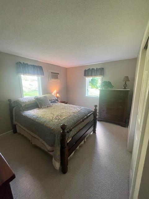 18 Colonial Way, Unit 18 Auburn, ME 04210 - Photo 21 of 34 IMG_3087