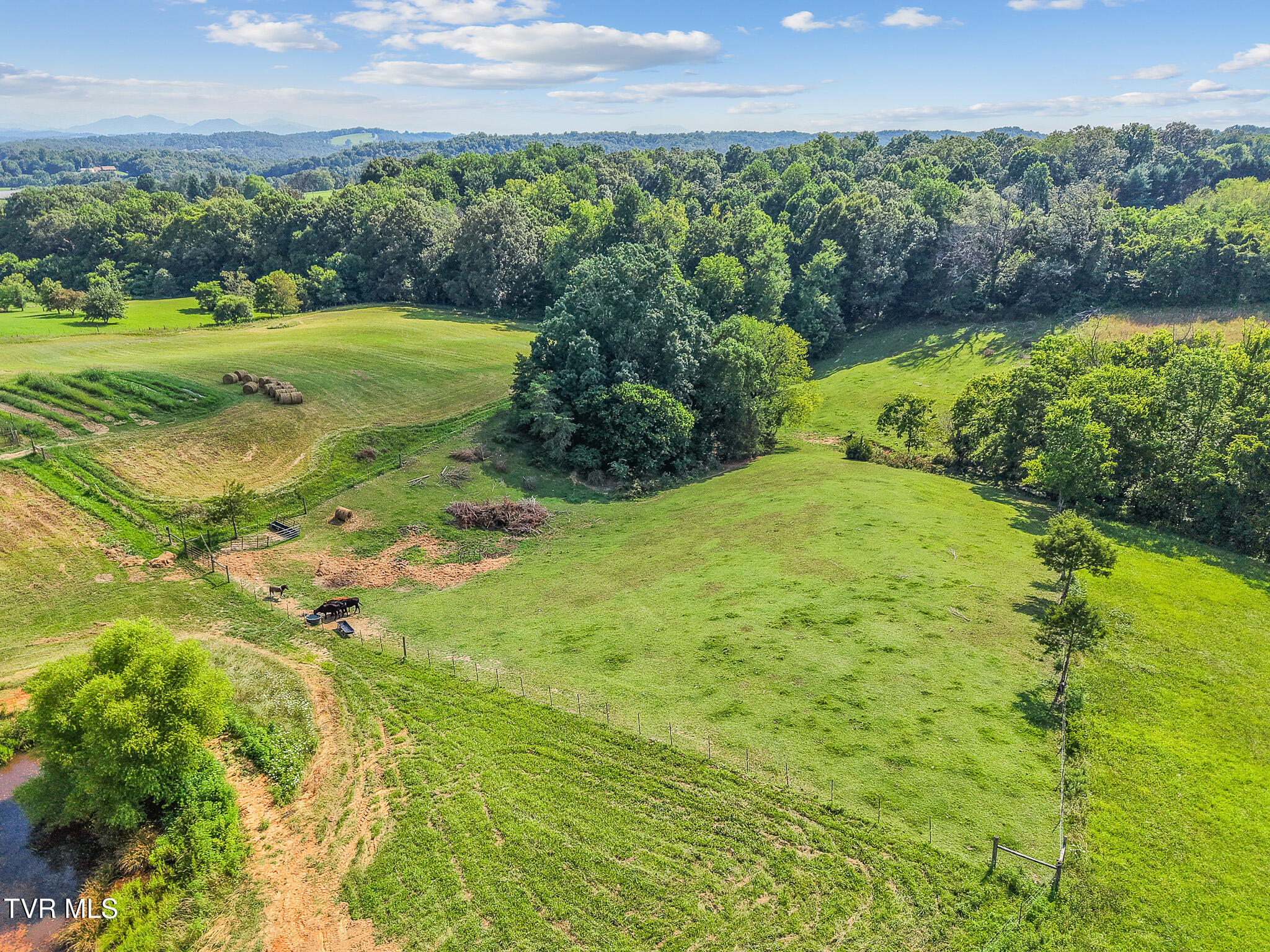 6.24-ac Bright Hope Road, Unit 14 Greeneville, TN 37743 - Photo 12 of 17 Bright Hope Rd 11