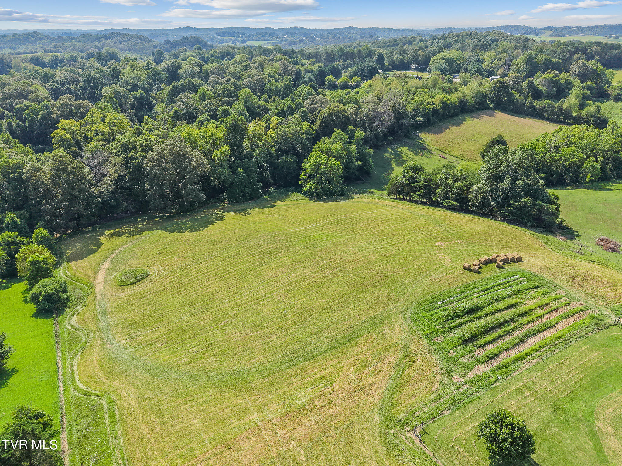 6.24-ac Bright Hope Road, Unit 14 Greeneville, TN 37743 - Photo 6 of 17 Bright Hope Rd 5