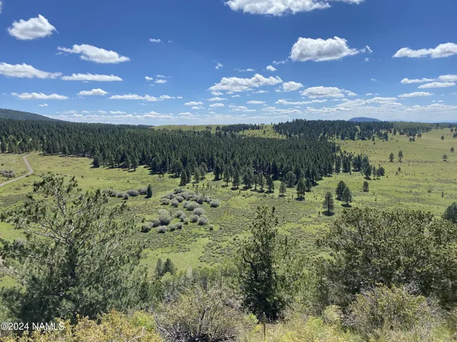 a view of a lake with a mountain