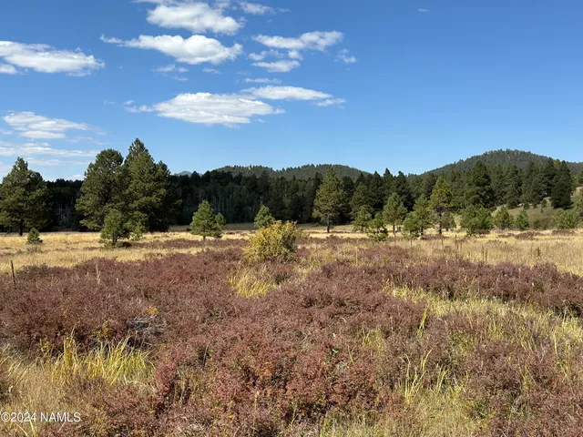 a view of mountain view with lots of trees