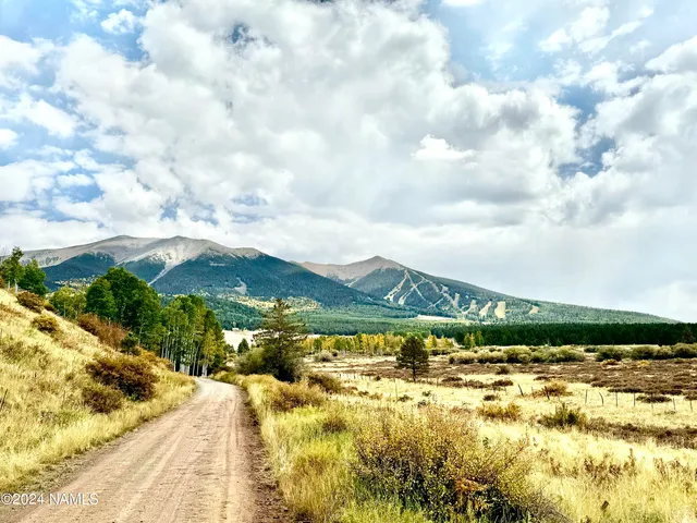a view of residential houses with yard and ocean view in back