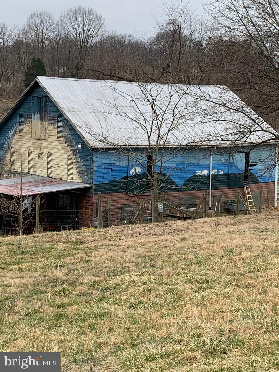 9602 Baltimore Road Frederick, MD 21701 - Photo 15 of 52 Rear of barn